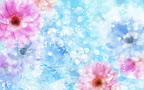 Click to view WOMEN + SPECIAL + 1920x1200 Wallpaper [women.special.055.jpg] in bigger size