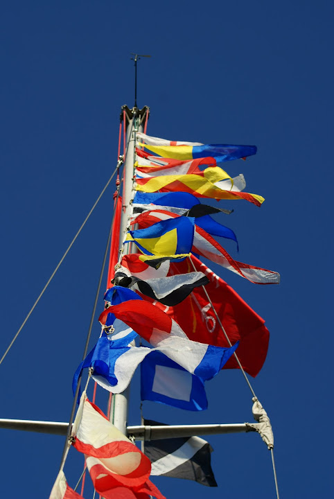 DSC01613.JPG