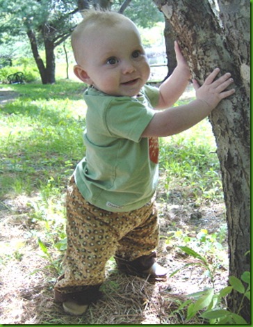 acornpants
