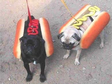 hot dog brisasdanet