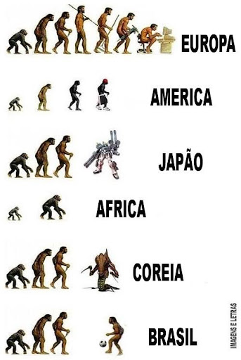 evolução das especies