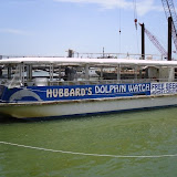 Dolphin Watch