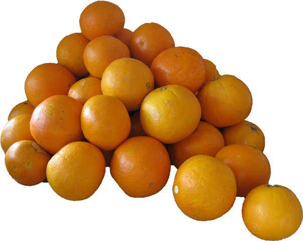 [pile of oranges[3].jpg]