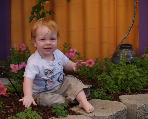in front of the orange fence