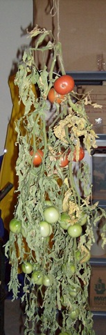 [Fall2009 151[3].jpg]