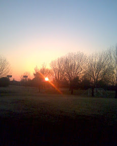 sunset in the park