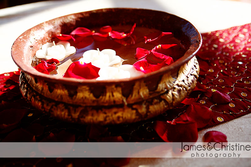 Nadia and Girish Mehendi