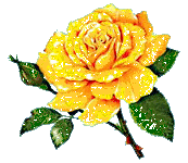 [blomma gul ros2)[2].gif]