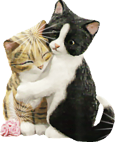 [8cat[3].gif]