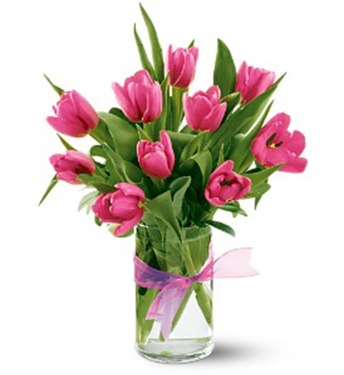 Hot%20Pink%20Tulips