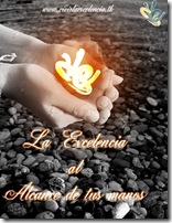 la excelencia 3