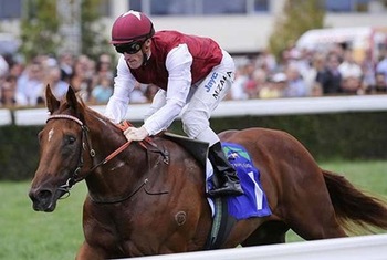SEPOY-vince caligiuri SEPOY-vince caligiuri