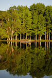 reflection3.jpg