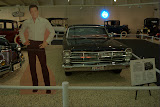DSC_0175.jpg