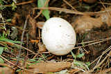 DSC_2353.JPG