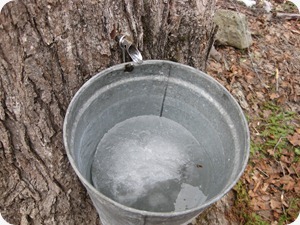 IMG_4358 IMG_4358