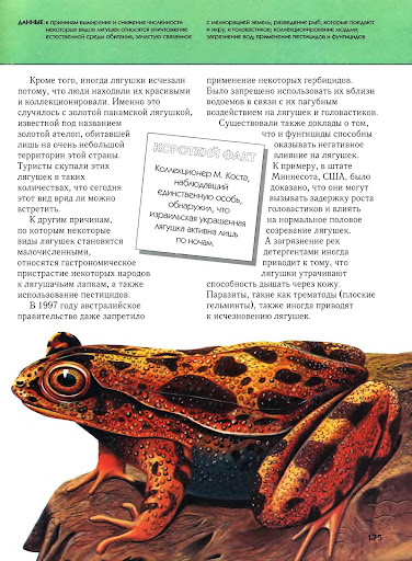 http://lh6.ggpht.com/_Buz5vTLQf7c/S7QcHU1UZkI/AAAAAAAAAIs/xwOwJJH7y5w/s512/Vimershije_zhivotnije_175.jpg