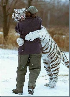 tiger-hugging-man-791658