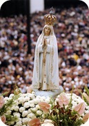 imagem peregrina