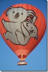 IMG_1720 IMG_1720