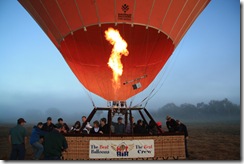 IMG_1711 IMG_1711