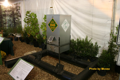 Fish Feeder