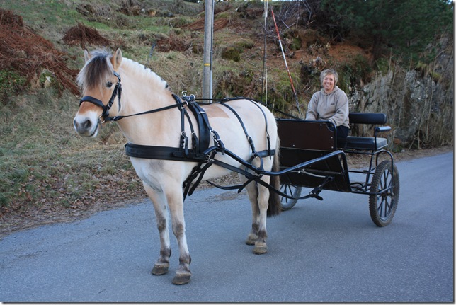 kjøring og hagebilde 025