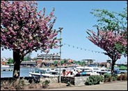 Boatyards in Top Areas