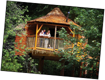 Lovely Setting and Attractive Holiday Lodges