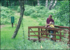 Enjoy the Countryside from the Silver Trees Holiday Park