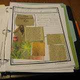 IMG_1635.JPG