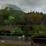 Wetland