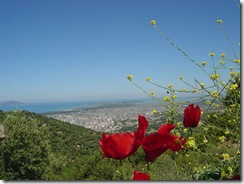 Valona