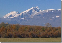 Skelzeni