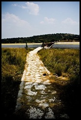 Zvernec