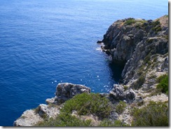 Jal Jal (2)