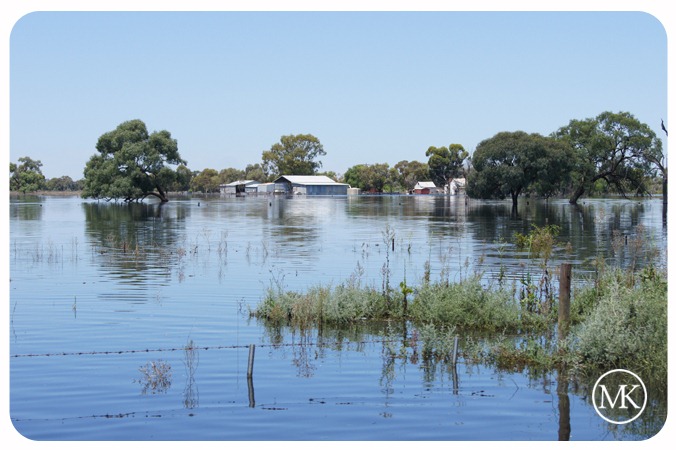[floods 11[3].jpg]
