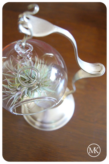 [Terrarium hanger 6[3].jpg]
