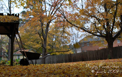 fall scenes