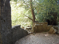 DSCN0474.JPG