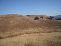 DSCN0393.JPG