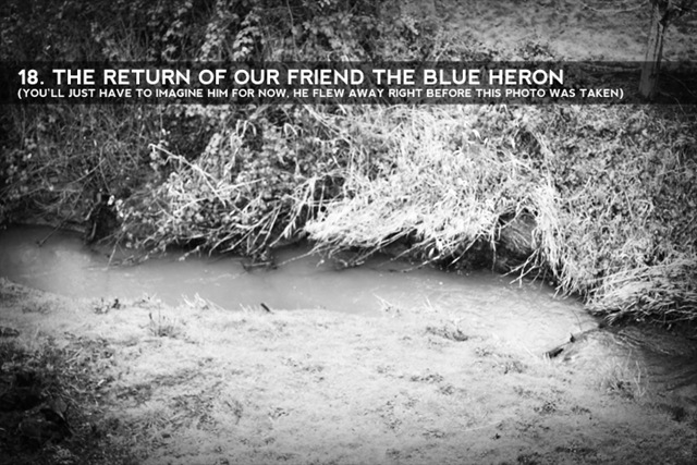 [naming-his-gifts-18-herons[4].jpg]