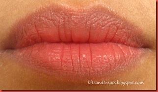 color me nude lip concealer with nichido lipstick, by bitsandtreats color me nude lip concealer with nichido lipstick, by bitsandtreats