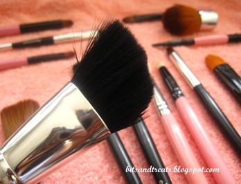 dried marionnaud angled brush, by bitsandtreats dried marionnaud angled brush, by bitsandtreats