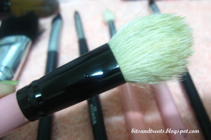[charm blush brush after washing, by bitsandtreats[5].jpg]