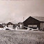 n813491854_1252798_3938.jpg