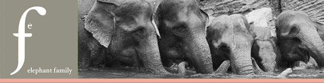 [elephant family[4].jpg]