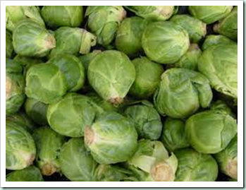 sprouts