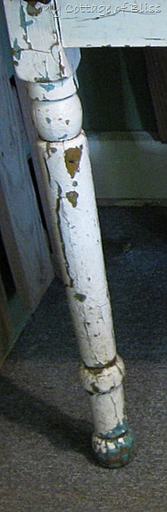 IMG_1287 (closeup) IMG_1287 (closeup)