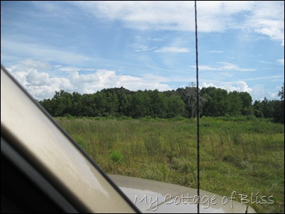 IMG_0612 IMG_0612